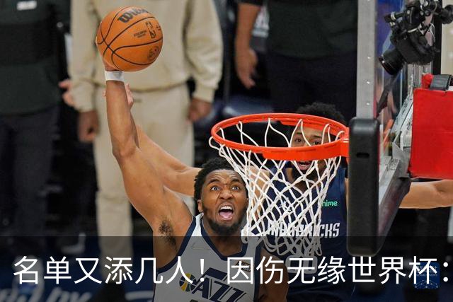 名单又添几人！因伤无缘世界杯：廷伯、巴列尔迪，卡尔、韦斯利..